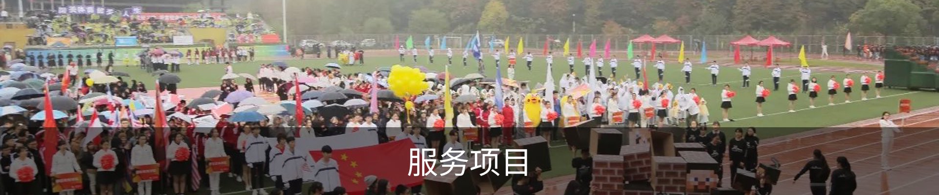 服务项目