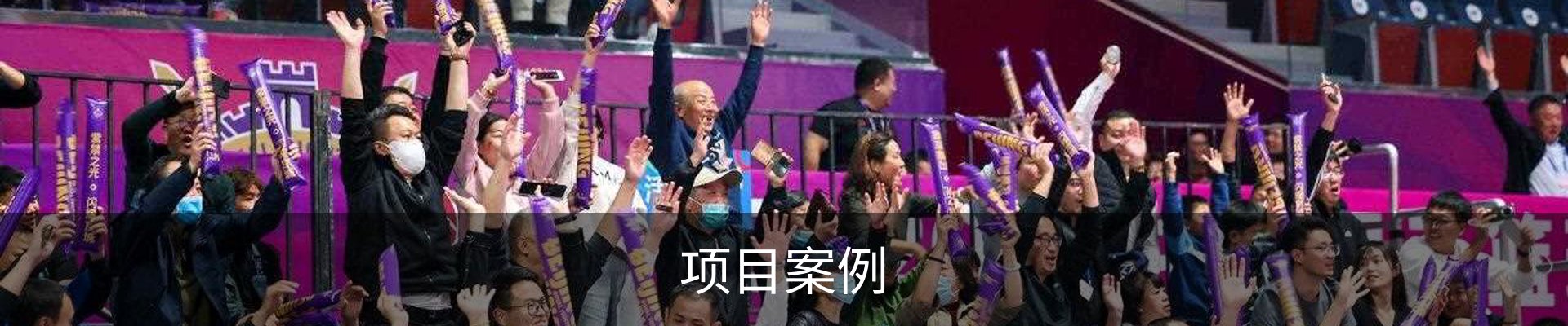 项目案例